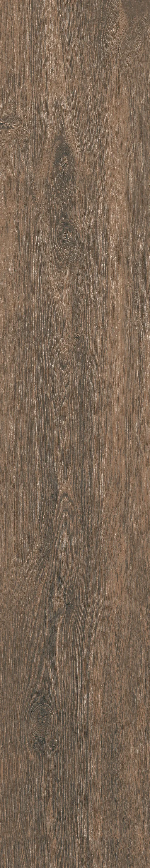 Dendro Ceviz