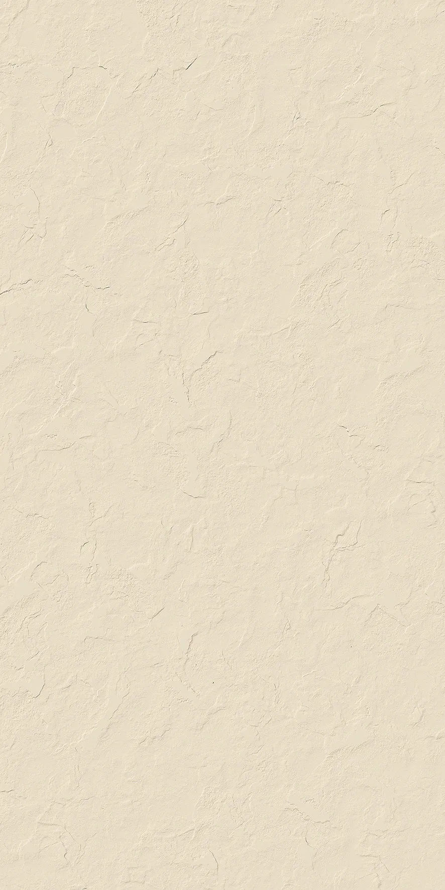Logan Bone