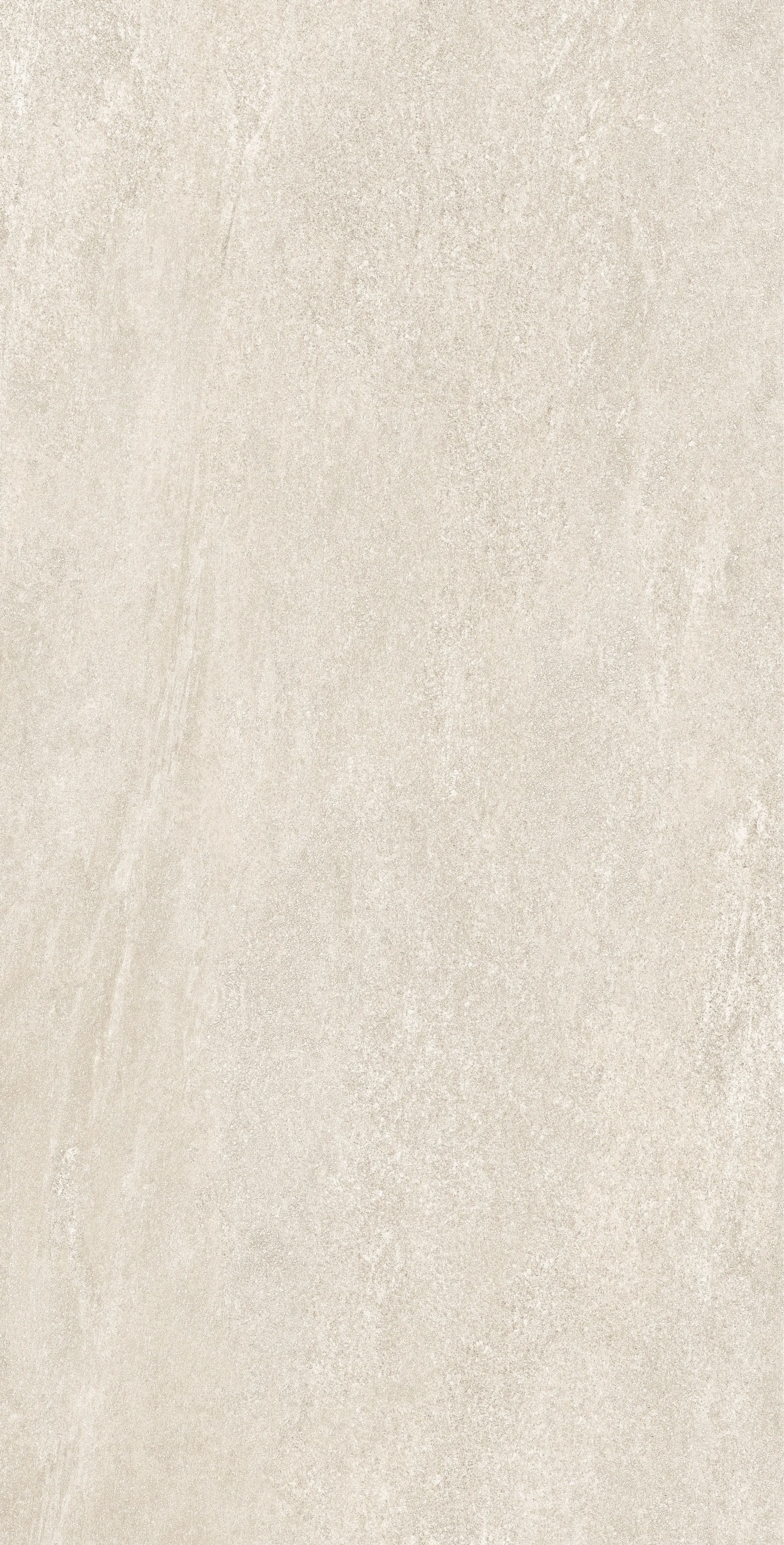 Leonardo Bone