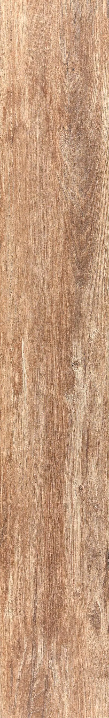 Taiga Teak